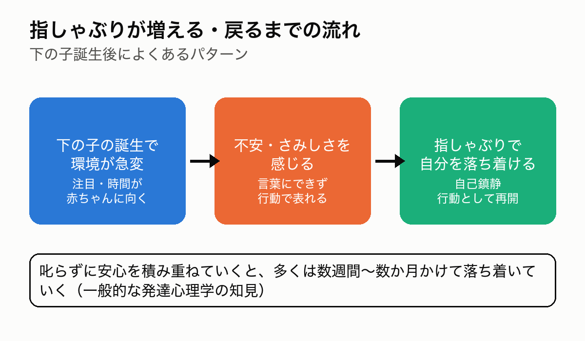 指しゃぶりが増える・戻るまでの流れの図解