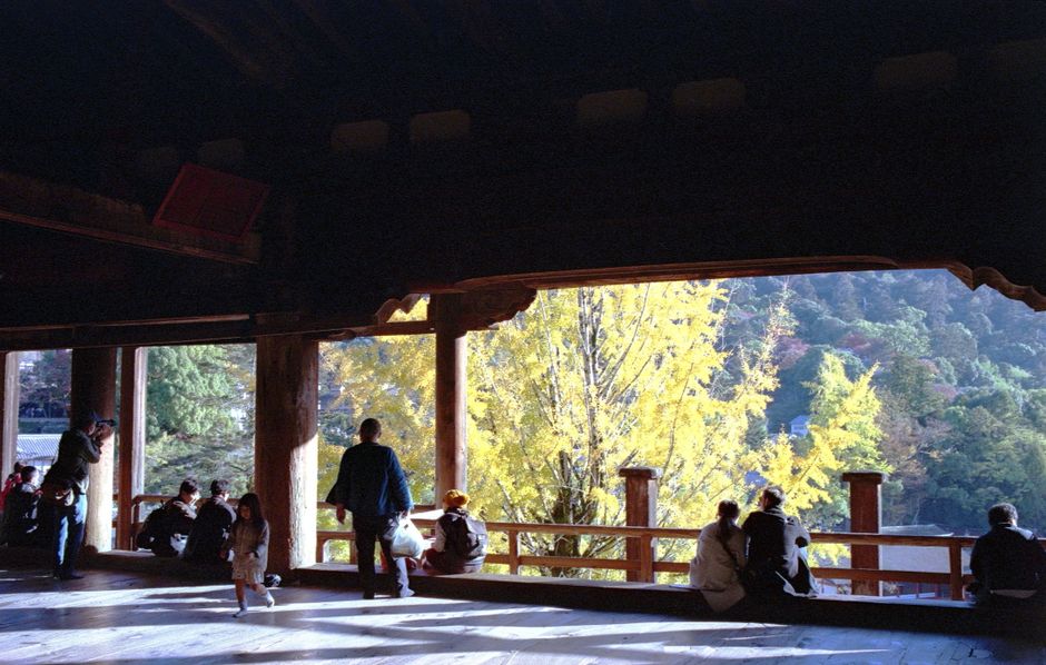 紅葉の中、参拝客で賑わう神社の様子